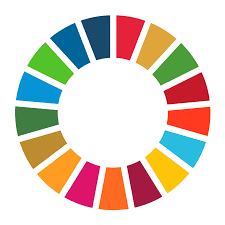 V Relatório Luz da Sociedade Civil.  Agenda 2030 de Desenvolvimento Sustentável
